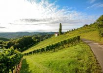 Tuscany: A Relaxing Vacation For Any Guest