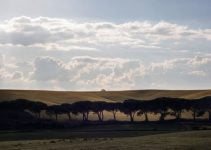 Tuscany Attractions That You Must See on Your Next Trip to Italy
