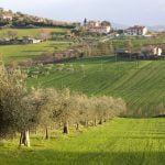 Exploring the Italian Countryside