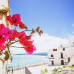 Traveling Suggestions in Italy Browse these essential traveling suggestions in Italy for an unforgettable journey