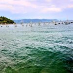 Essential Italian phrases for travelers, including IMPORTANT ITALIAN PHRASES FOR TRAVEL, to navigate Italy with ease