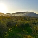 Italy Latest Travel Restrictions Current COVID-19 travel updates and restrictions in Italy - Stay informed!