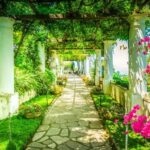 Safely travel from the US to Italy during COVID-19: Guidelines, requirements, and restrictions