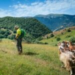 Current travel restrictions in Italy due to COVID-19 pandemic