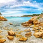 Read AAA Collette Travel Italy reviews to plan your perfect Italian getaway