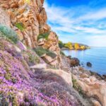 Travel From Egypt to Italy Route map showing how to travel from Egypt to Italy via various transportation options