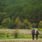 Link Tours and Travels Italy Explore the charm of Italy with our exceptional Link Tours and Travels packages