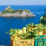 Capture the magical holiday spirit with the best places to travel in Italy in December!