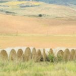 Quarantine Travel: Discover the beauty of Italy from the comfort of your home
