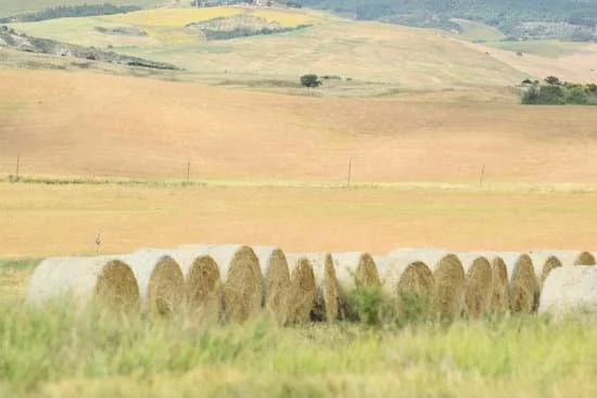 Quarantine Travel: Discover the beauty of Italy from the comfort of your home