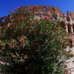 When is travel to Italy allowed: Stay updated on travel restrictions and reopening plans