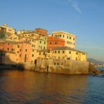 Service Dog Travel to Italy Service dog traveling on a plane to Italy with its handler