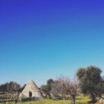 Best Italian English Travel App Your ultimate travel companion: Best Italian-English travel app for seamless navigation and communication