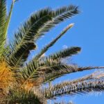 Rome Airports Travel Advice Italy Heavenitaly Heaven Essential Rome airports travel advice for seamless travel in Italy - Italy Heaven