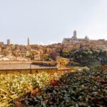Travel restrictions for Colombians: Check the latest updates on traveling to Italy during COVID-