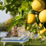 Essential tips and advice for travelling to enchanting Venice, Italy: Things to Know!