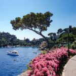Explore the best of Italy & Germany with Globus Travel - Unforgettable cultural experiences await!