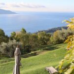 Discover the top-rated app to easily learn Italian for travel, all for free!