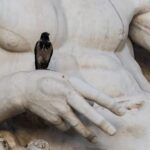 Lucca Italy Travel Reviews Explore Lucca, Italy through glowing travel reviews and discover its hidden gems