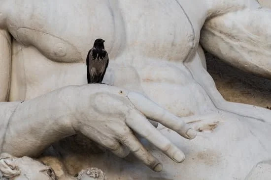 Explore Lucca, Italy through glowing travel reviews and discover its hidden gems