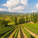 Plan your summer trip: Explore Italy's beauty and check if traveling there in July is possible!