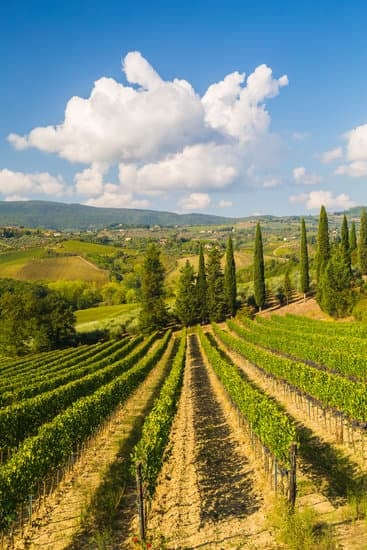 Plan your summer trip: Explore Italy's beauty and check if traveling there in July is possible!