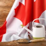 Accessing Canada: Discover travel information and restrictions for Italian citizens traveling to Canada