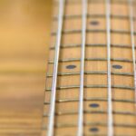 Custom travel electric bass guitar by EKO Italy Brandoni, the perfect portable musical companion