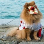 Travel to Italy 2018 Explore the beauty of Italy in 2018 with our travel packages