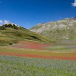 Experience the beauty of Italy in July 2020 - plan your trip now!