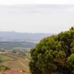 Travelling through Italy: learning about the country's rich history, art, and cuisine